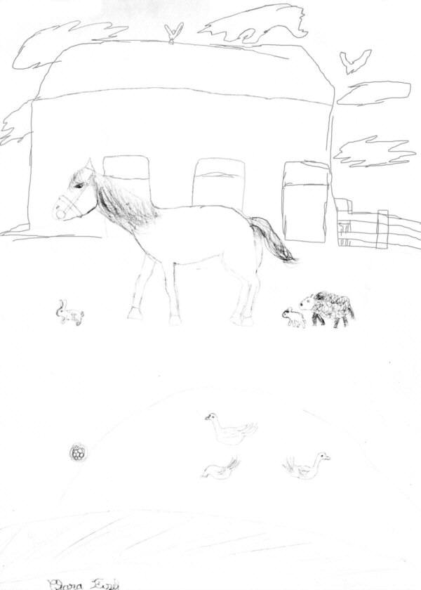 Agrandir (Auteur : Clara Fizel)