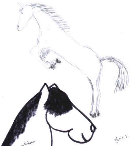 Agrandir (Auteur : Marie S et Cl�mence)